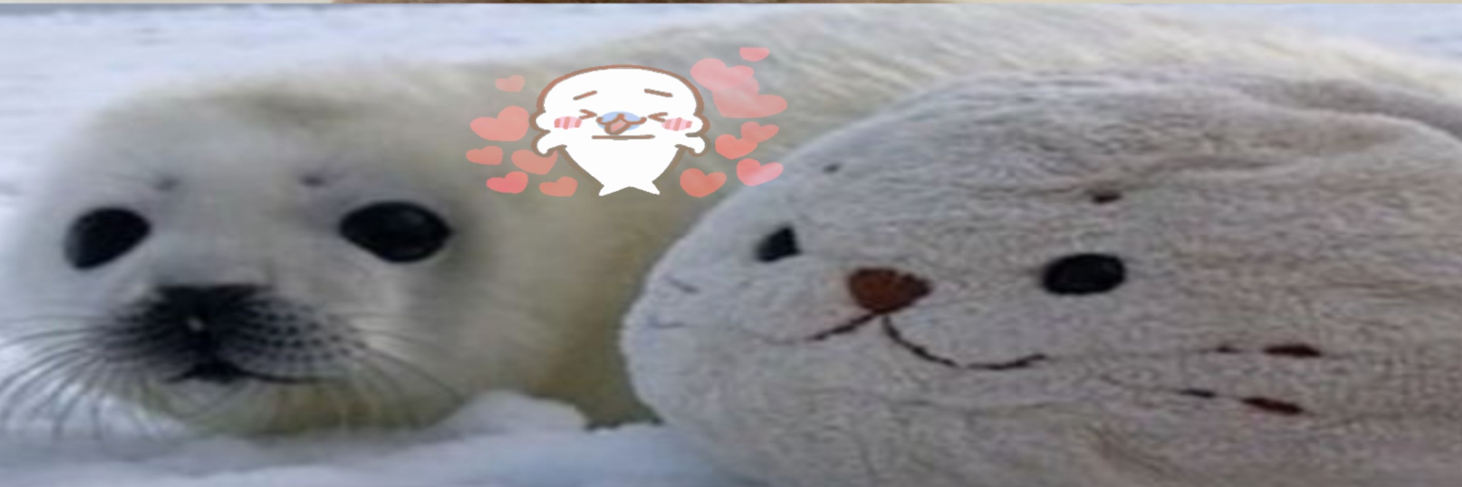  ࣪