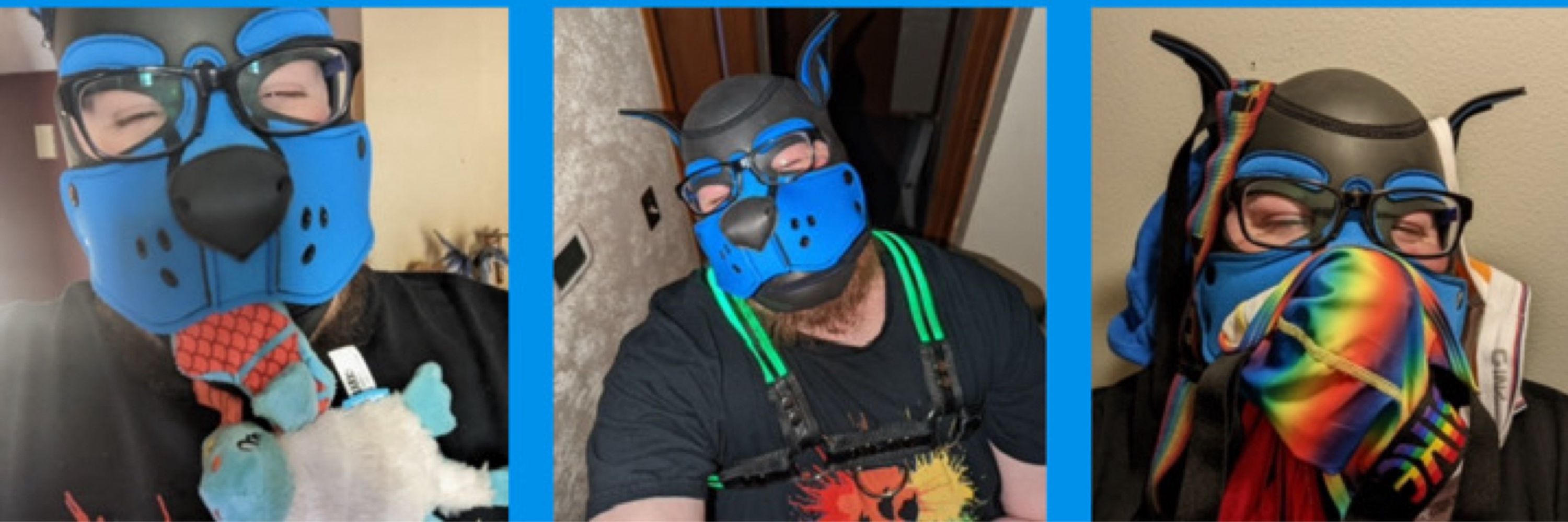 Pup_Nobo