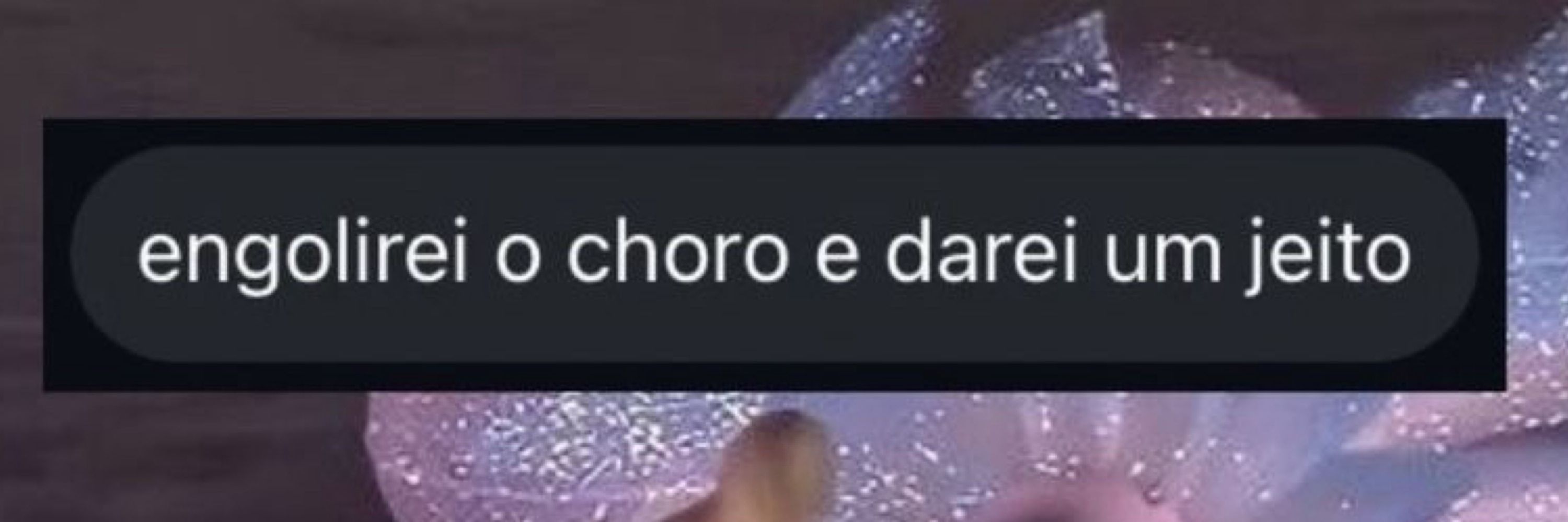 felipin do sus