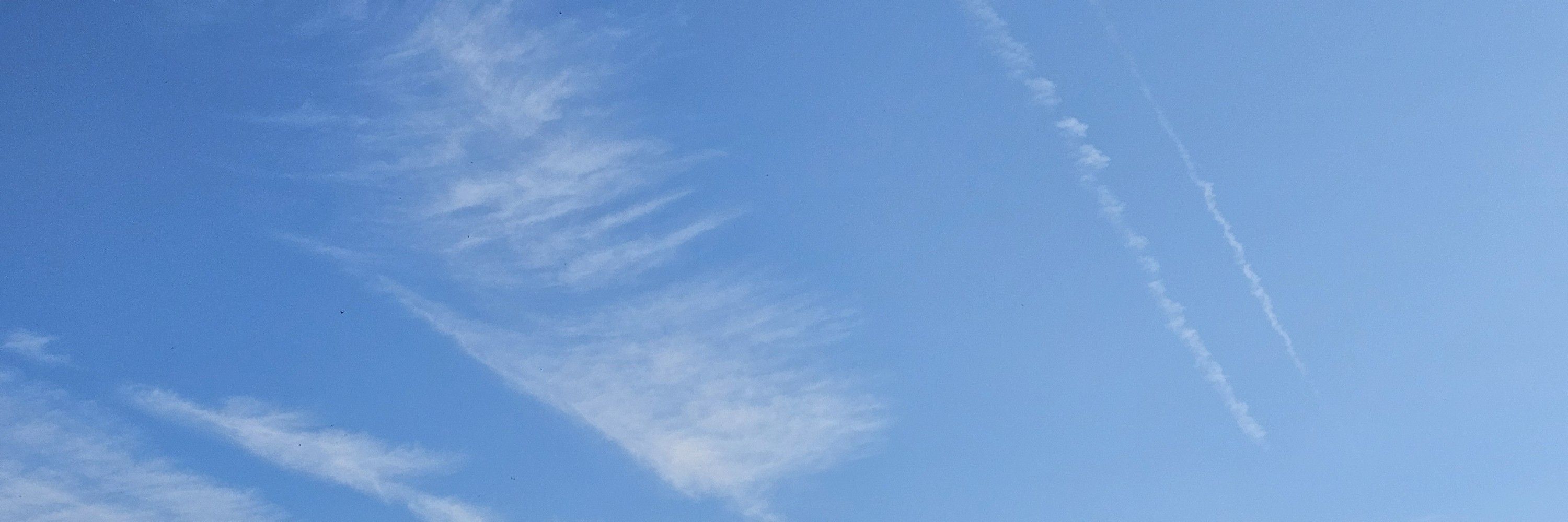 空音リオ