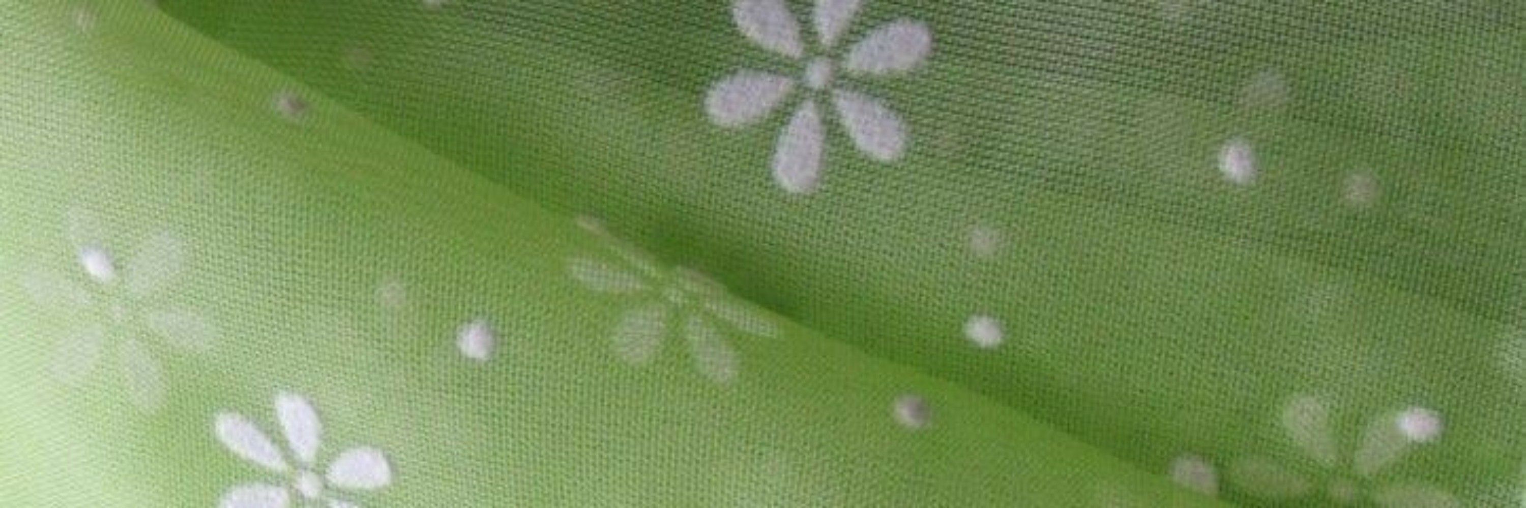 ‎ ‎      ‎    ‎