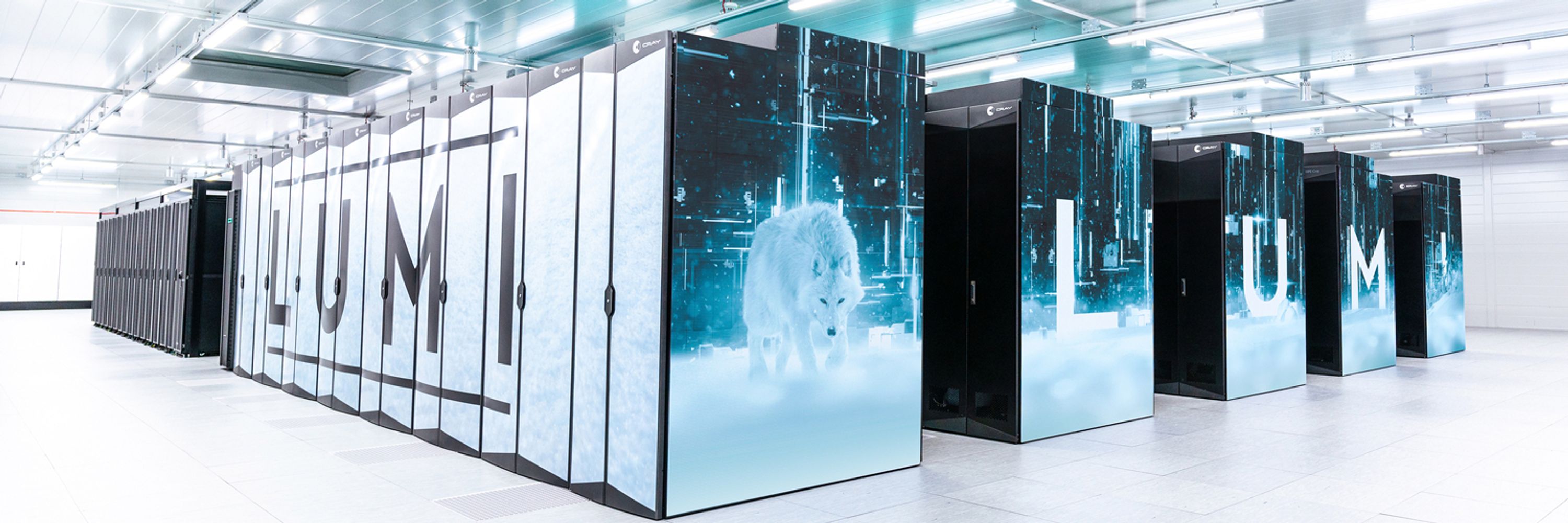 LUMIhpc