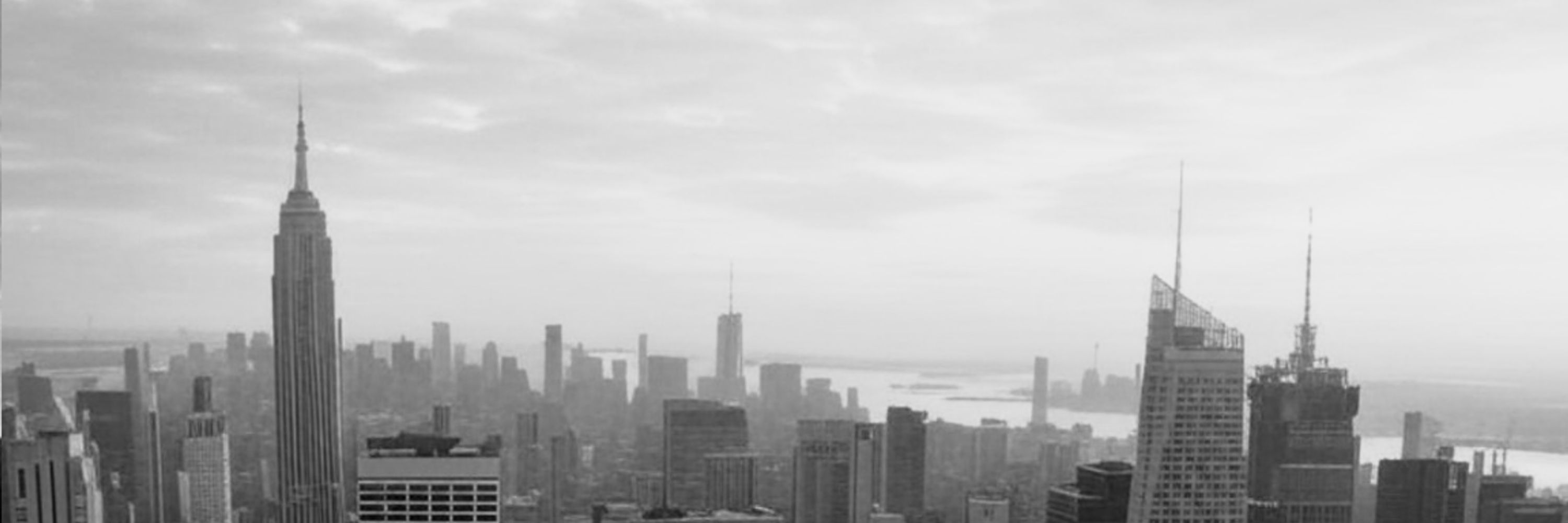 NYC BLU