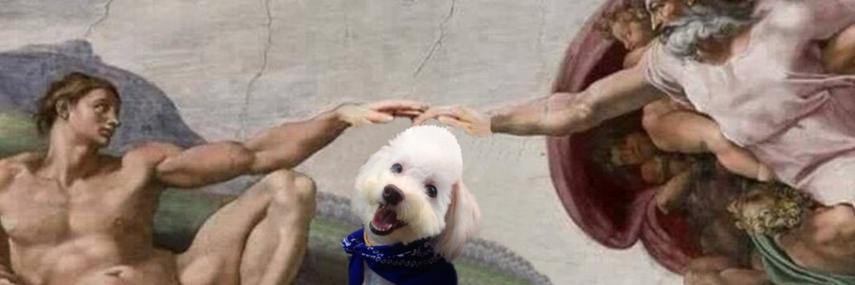 ☮︎