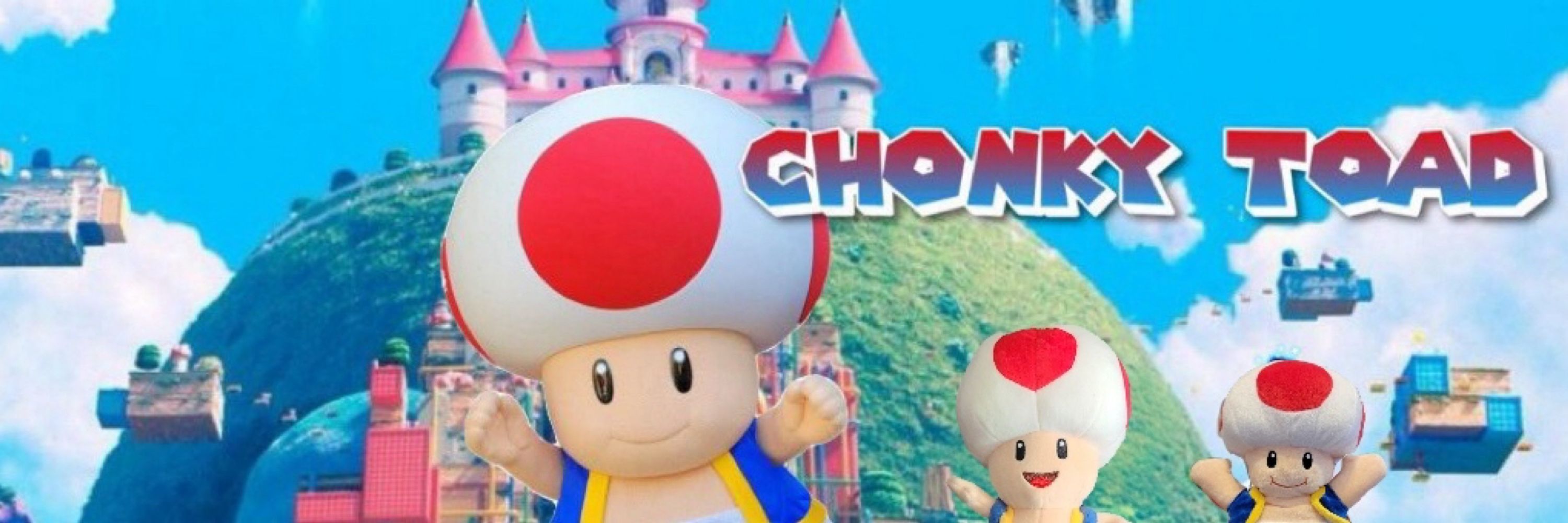 The Chonkytoad