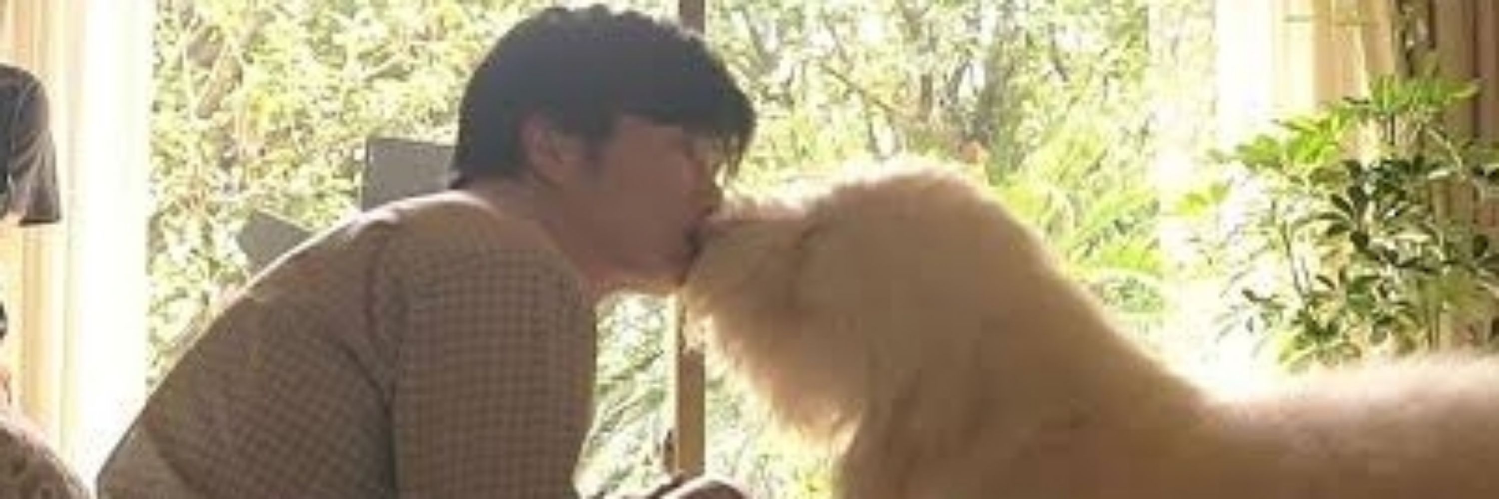 류아٩( ᐛ )و
