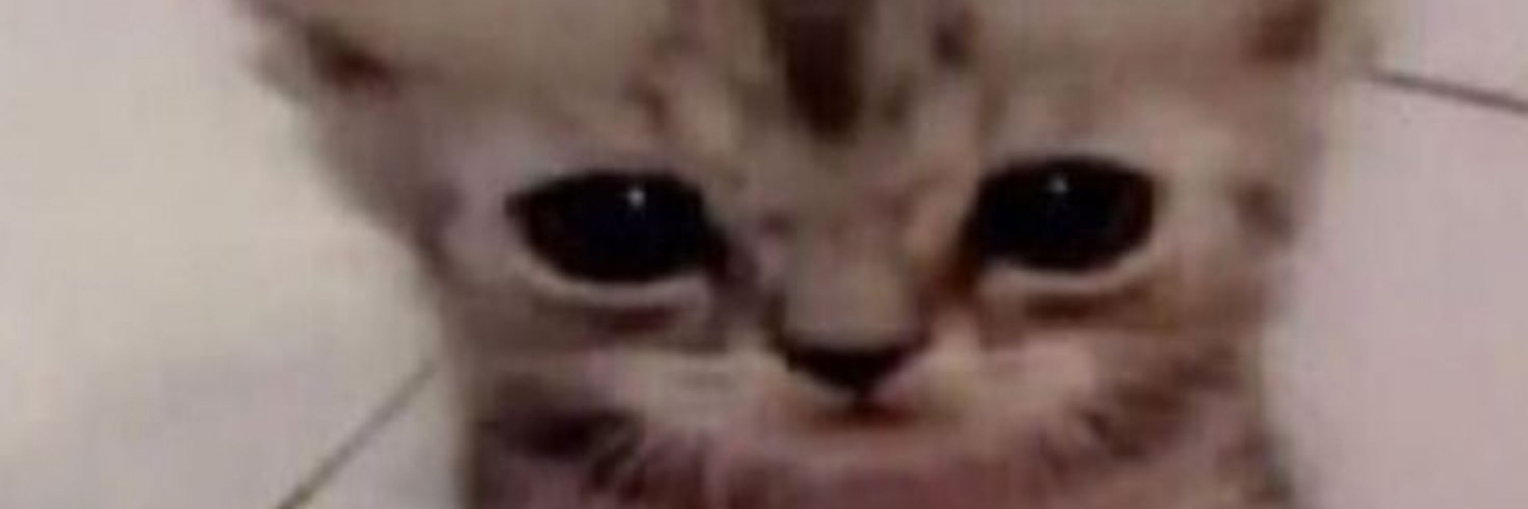 gui