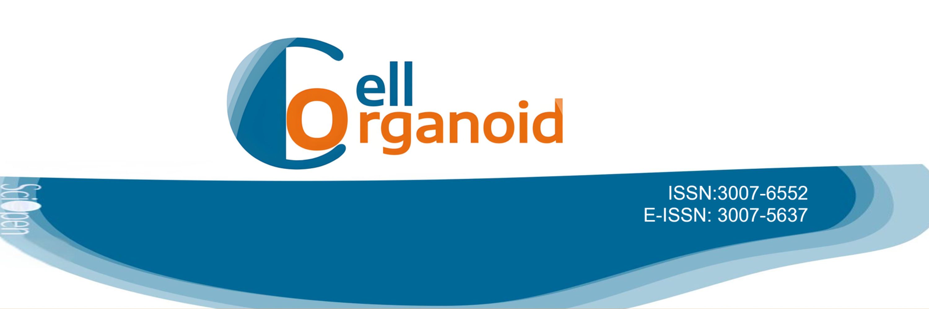 Cell Organoid