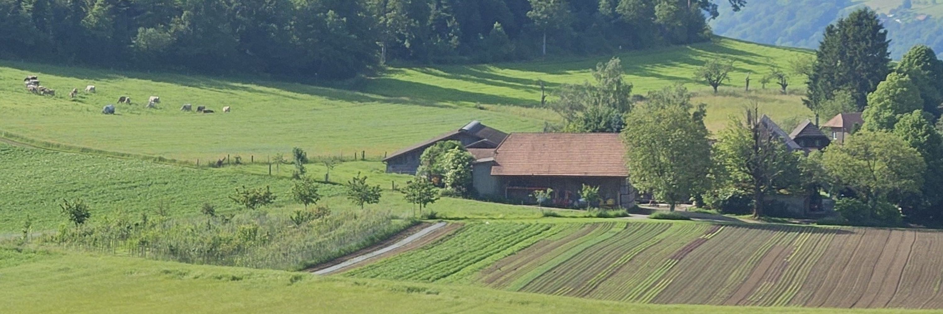 Kleinbauern-Vereinigung