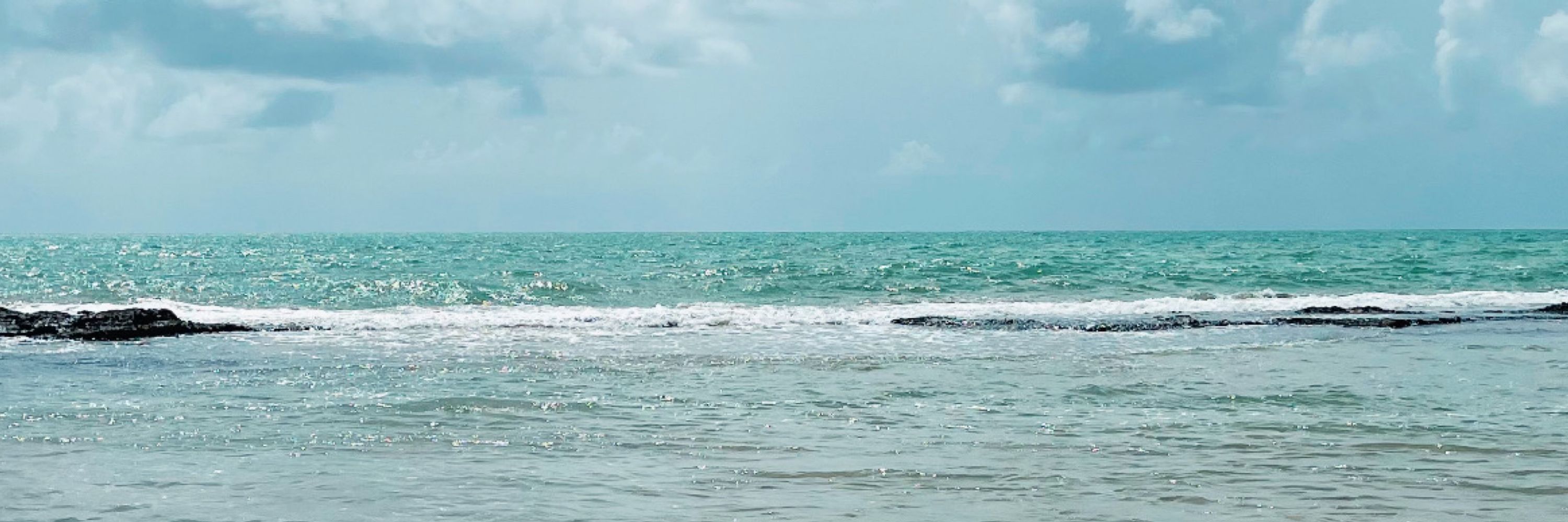 wavepjl