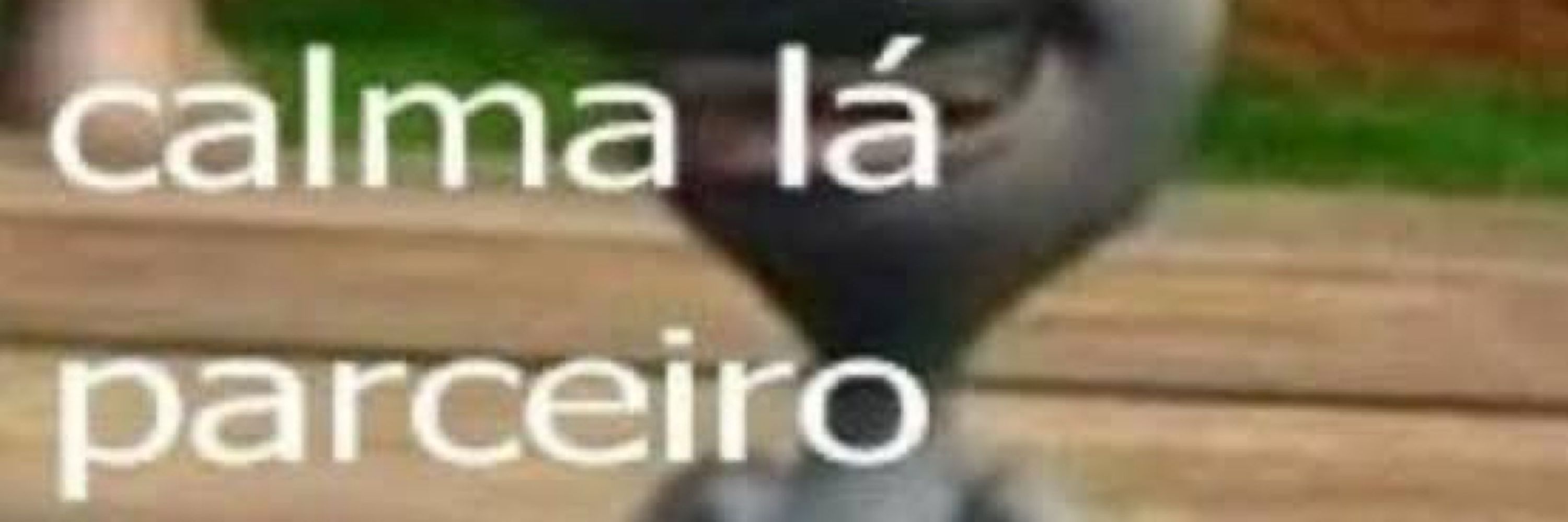 Rafa Santana