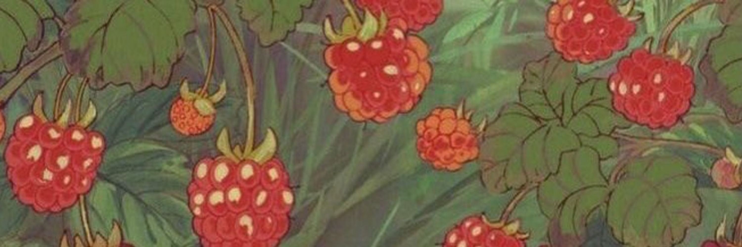 ʟᴀʟᴀ.