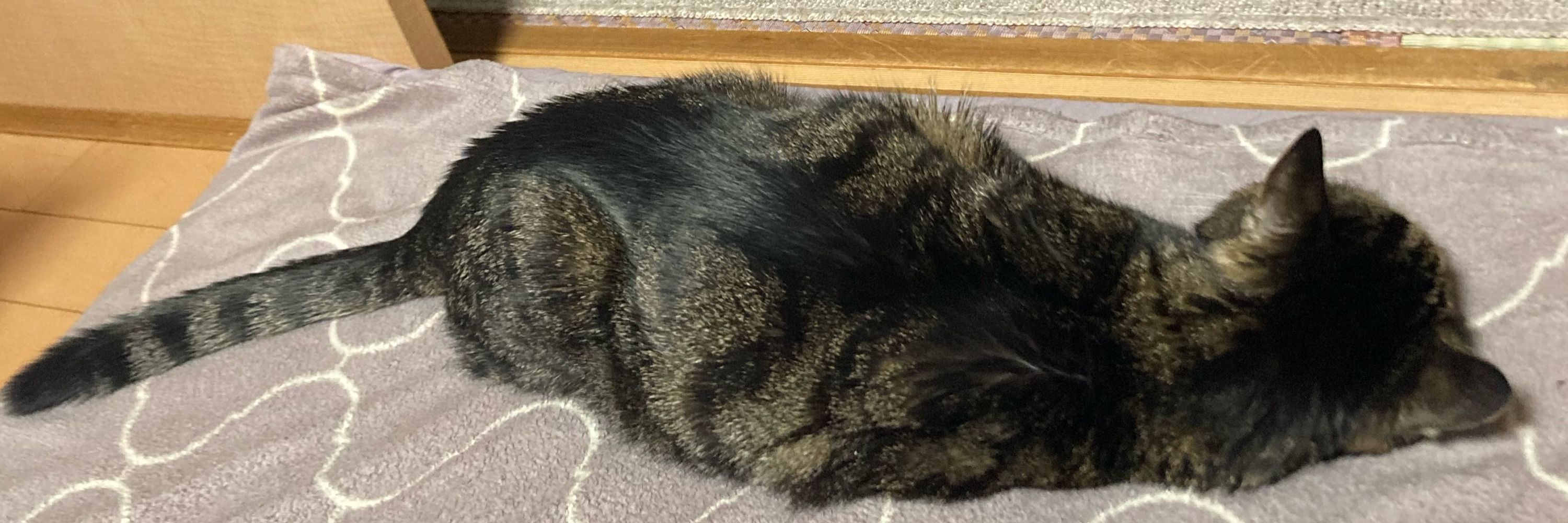 ととろ