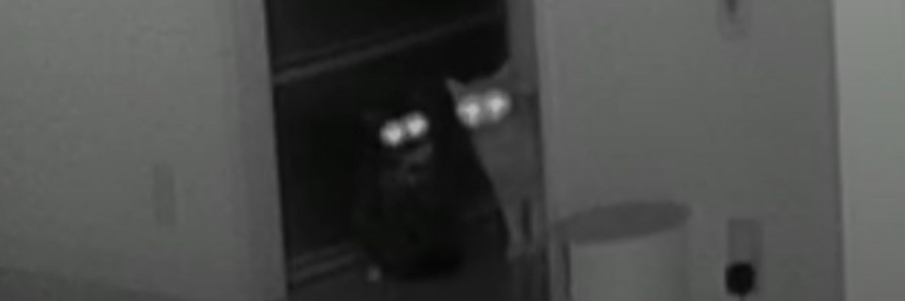まる