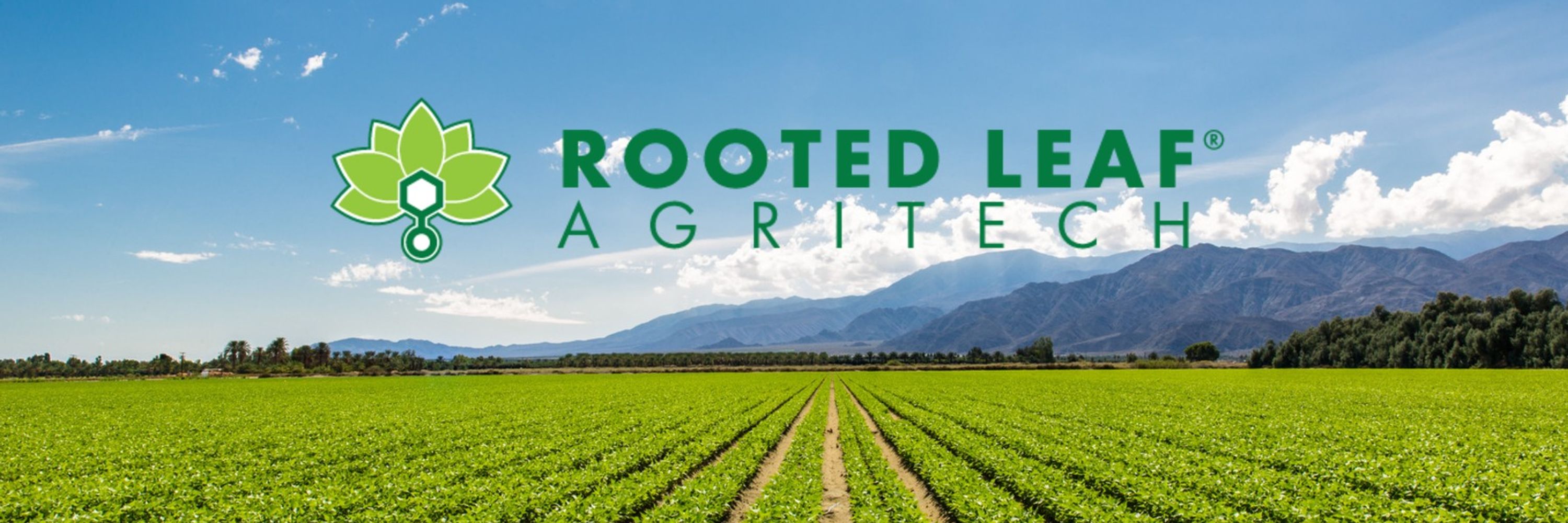 Rooted Leaf Agritech