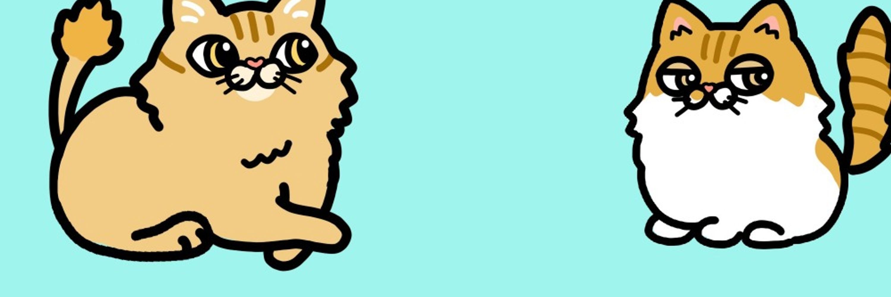 ぶーちゃん