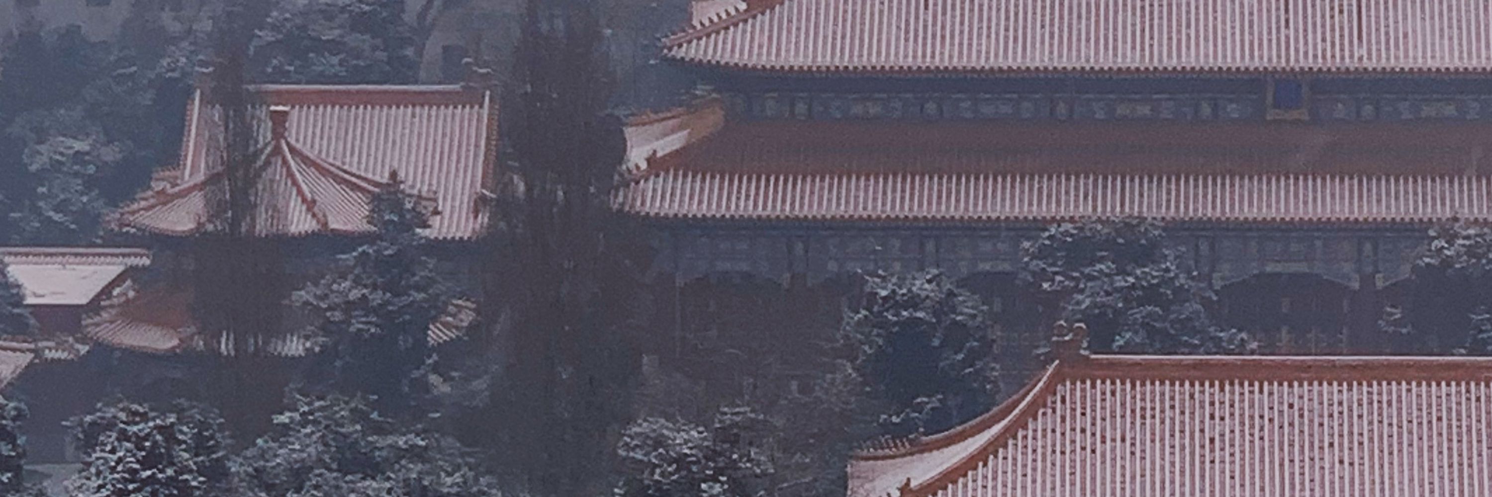 Yunlong Liang