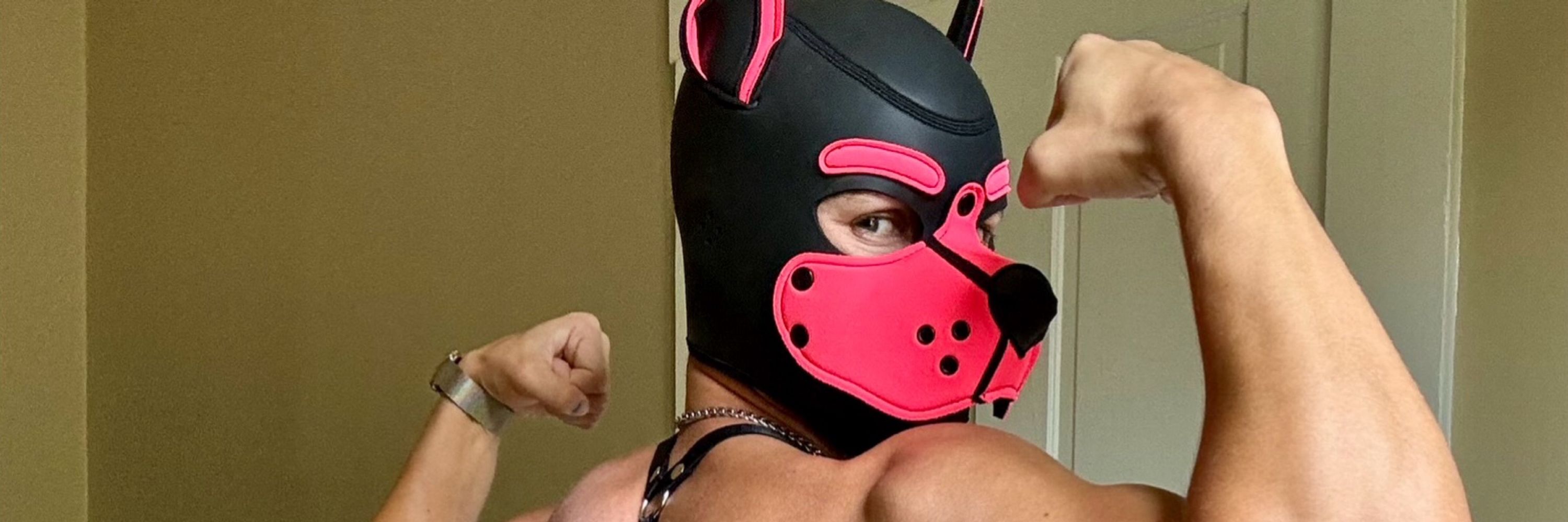 pup scout