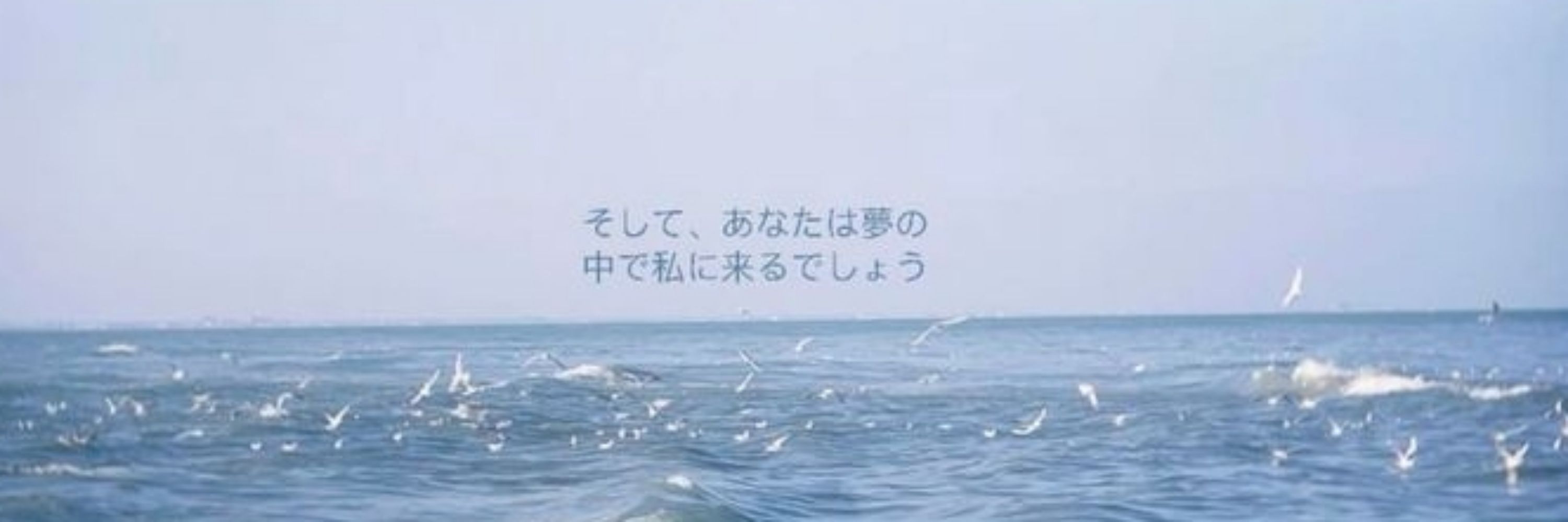 モツモ/Motsumo🫧