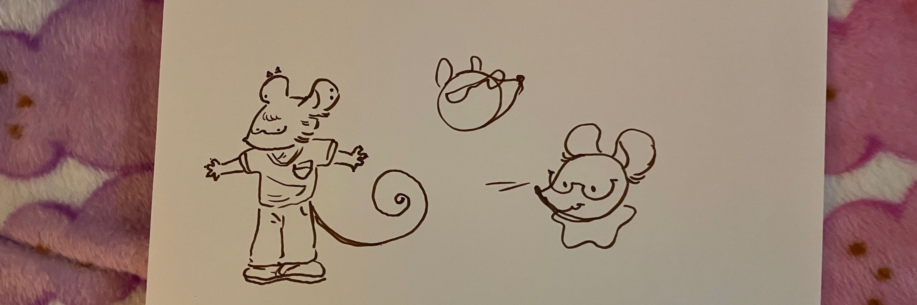 bug !!