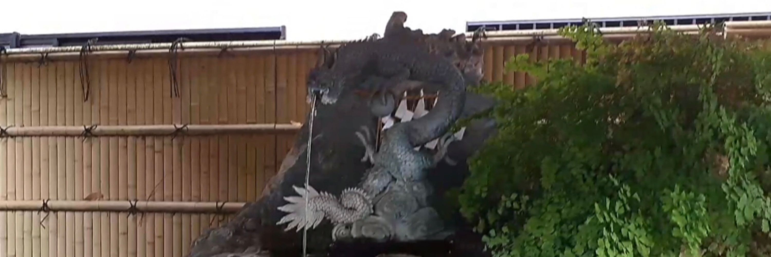 るぴ