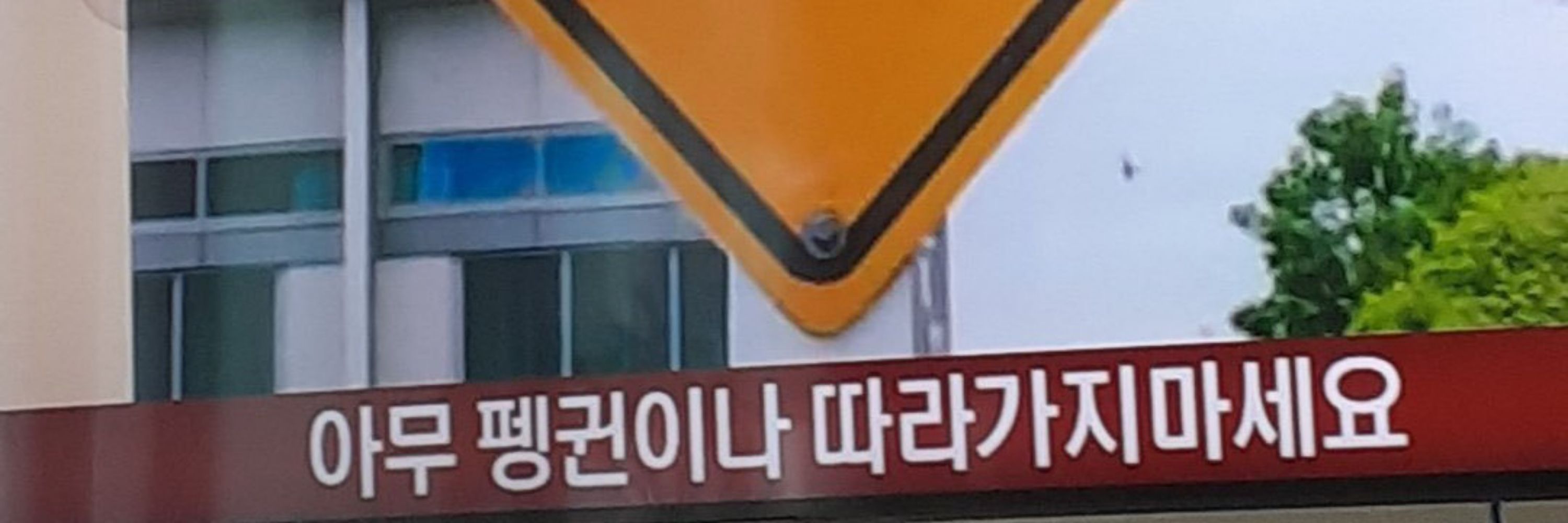펭귄
