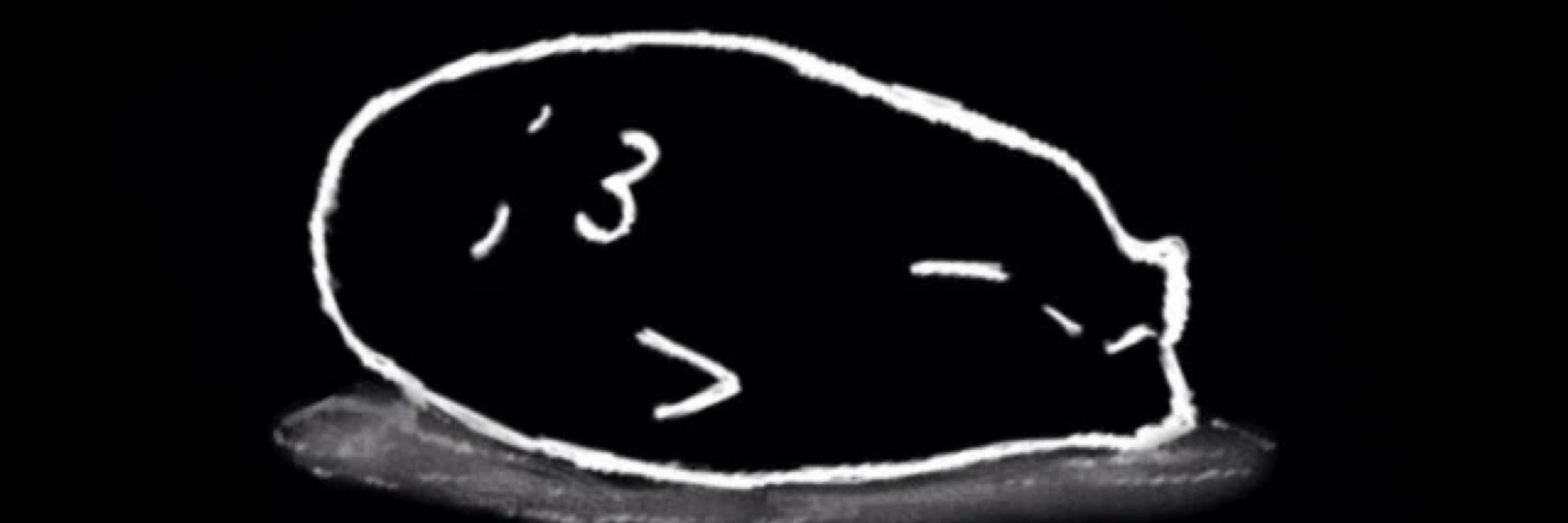 ウェーヒヒヒヒヒｗｗｗ