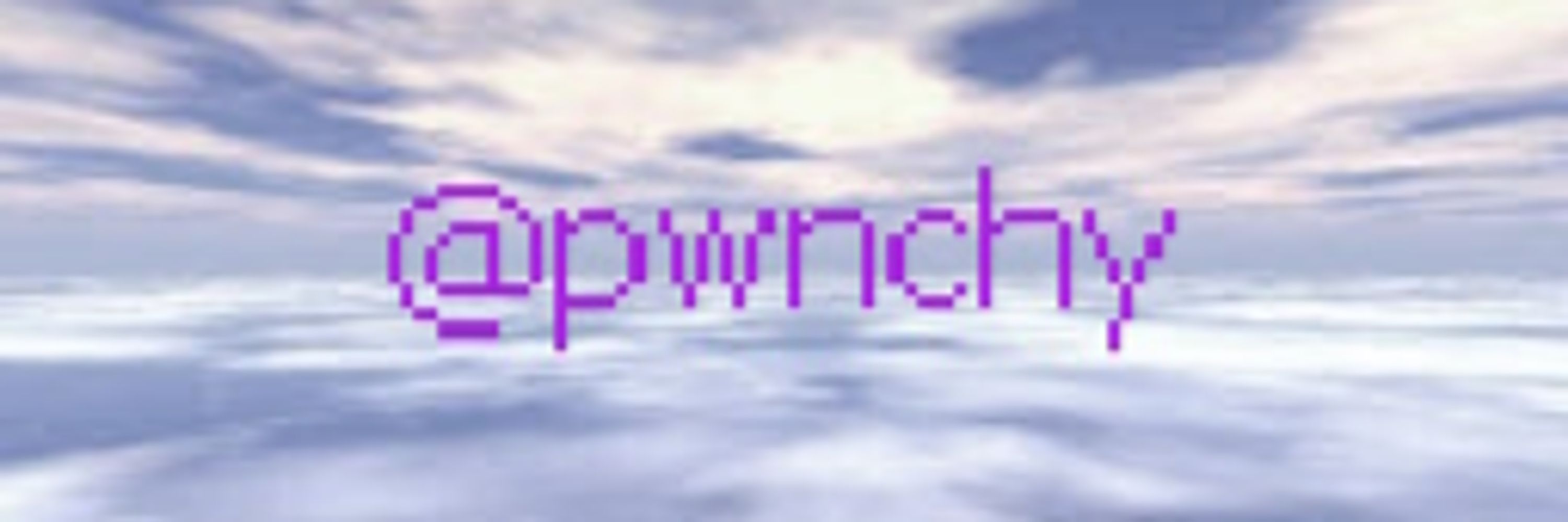 pwnchy