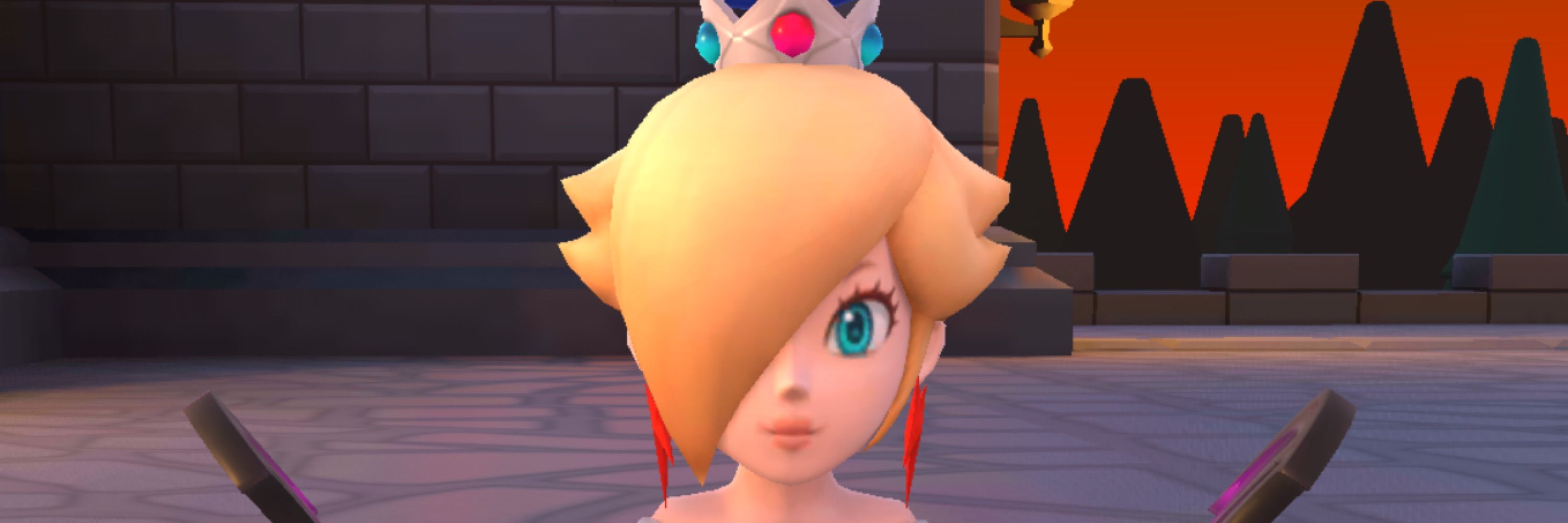 ロジー&マリオファンの集い