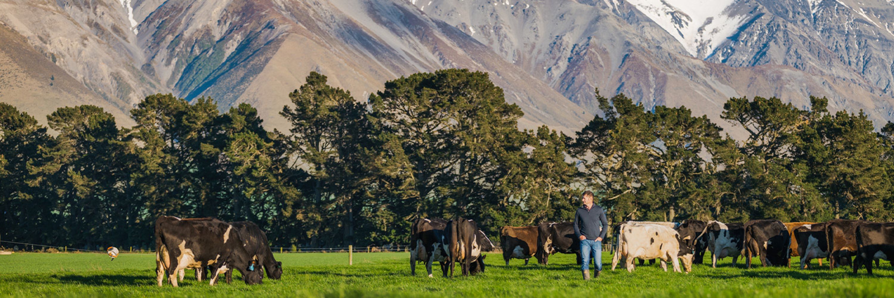 Fonterra