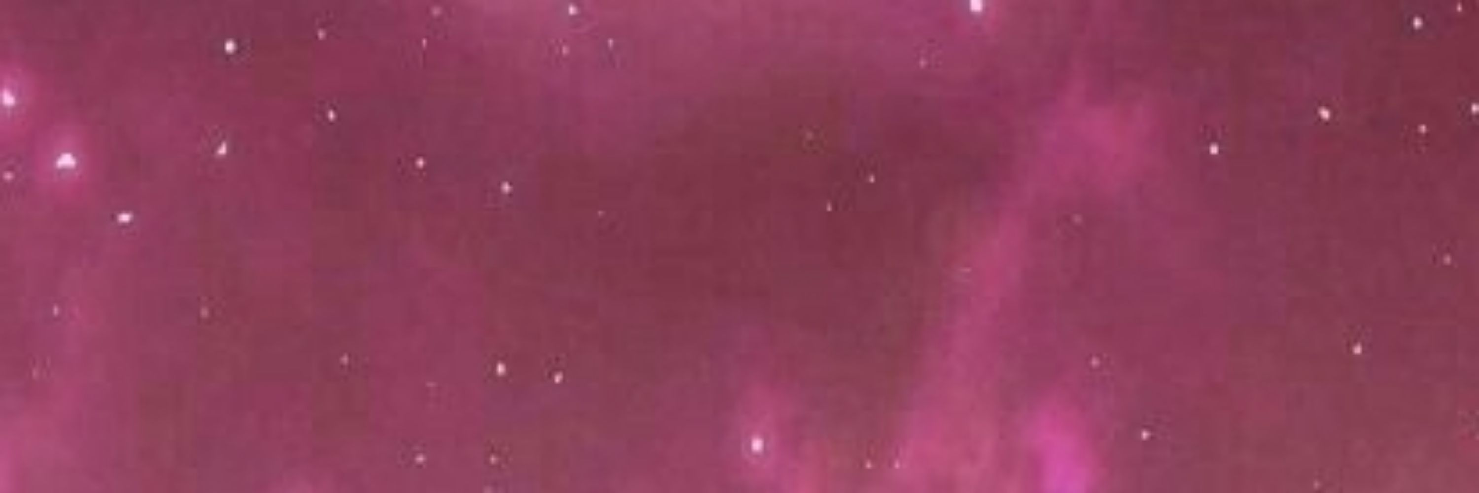 FIG! 💫