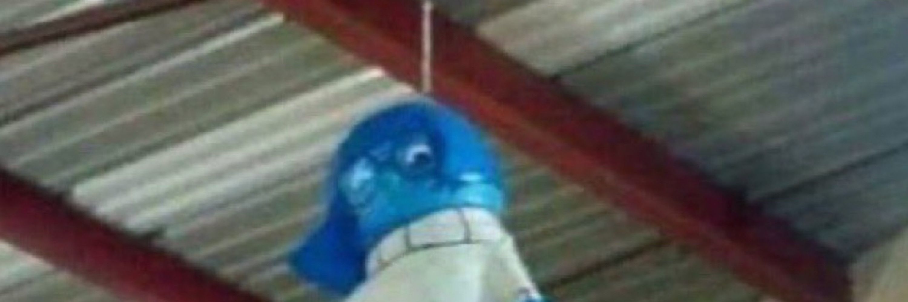 ori