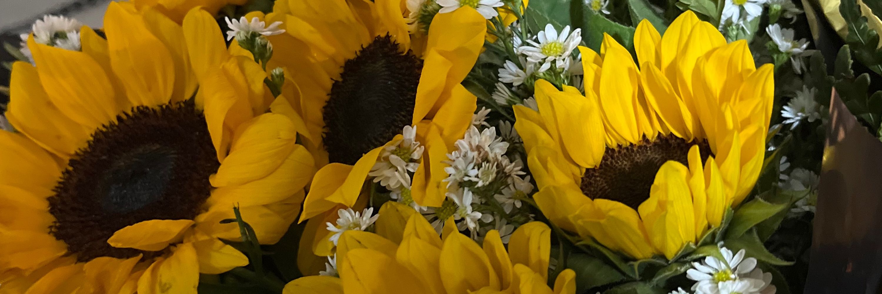 sara 💐