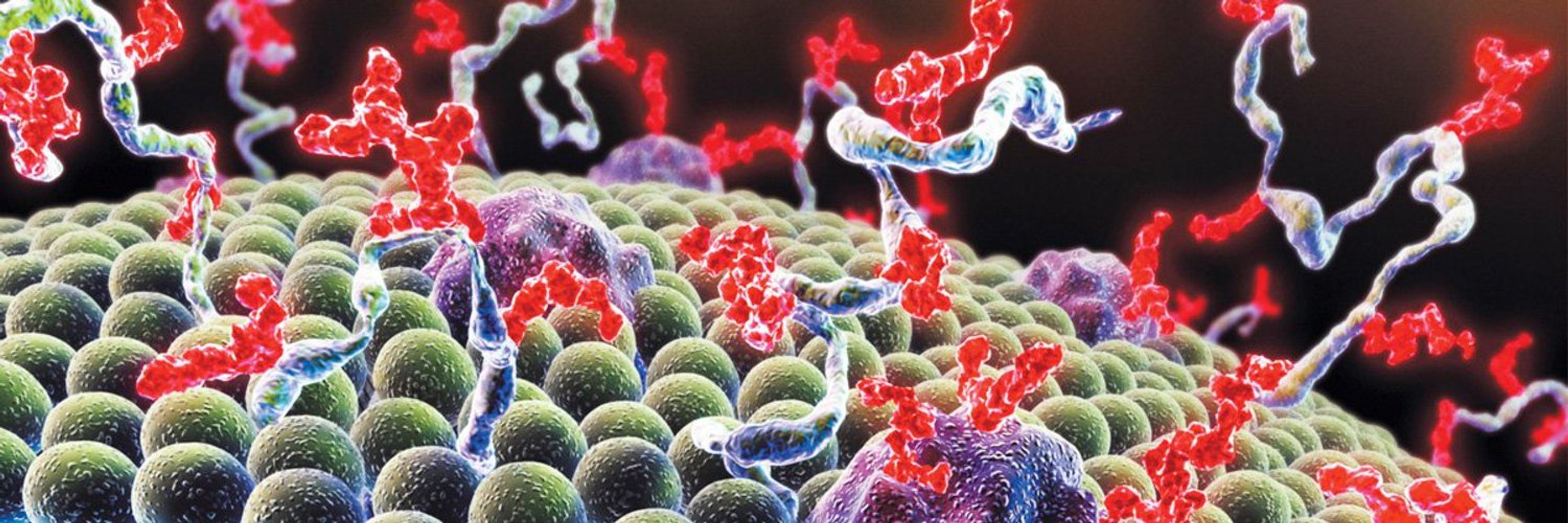 RSC Chemical Biology