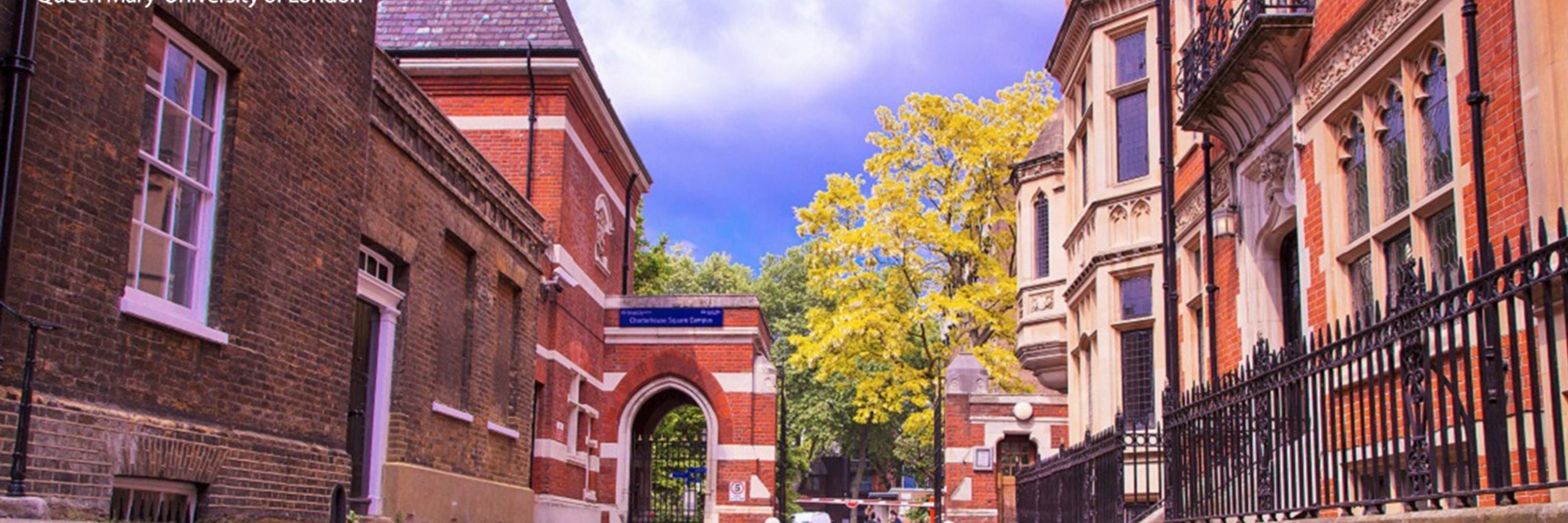 Barts Cancer Institute (Queen Mary University of London)