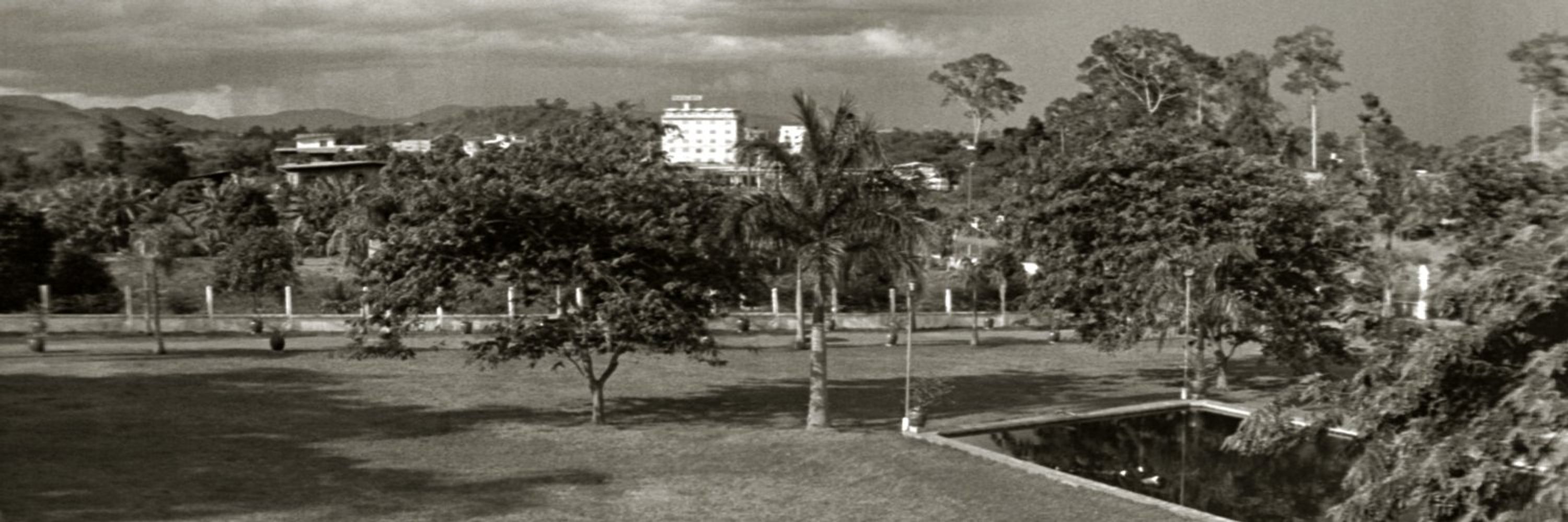 OldPangYau