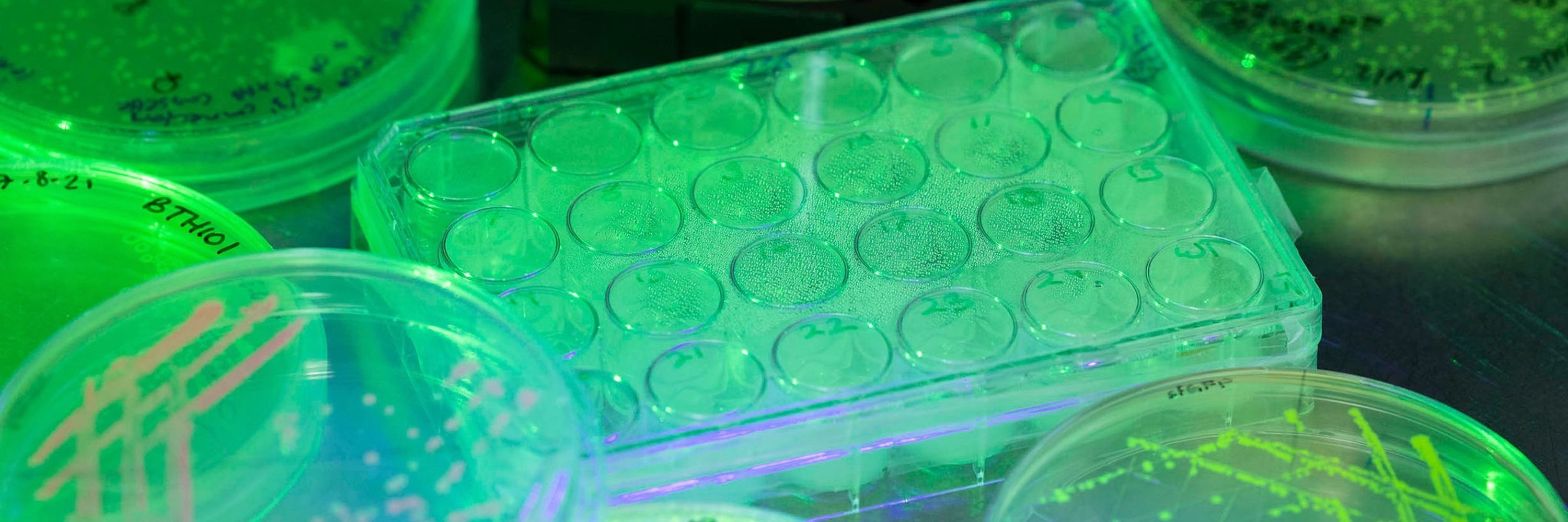 FritzLab