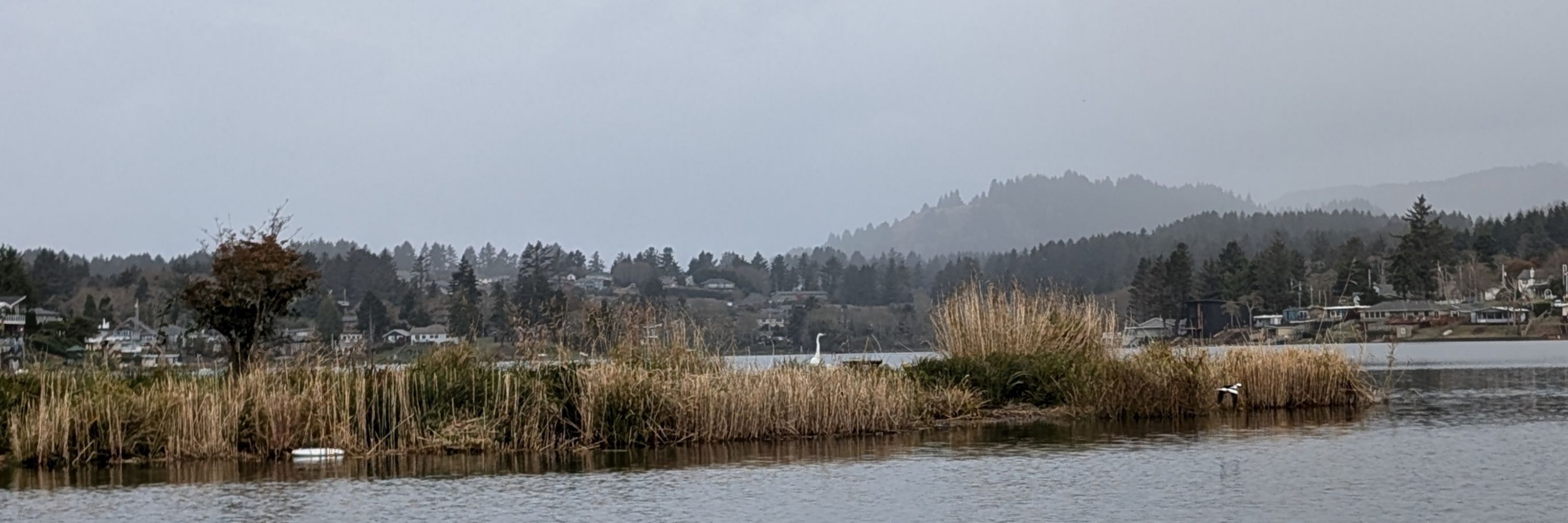 Martin Strobel