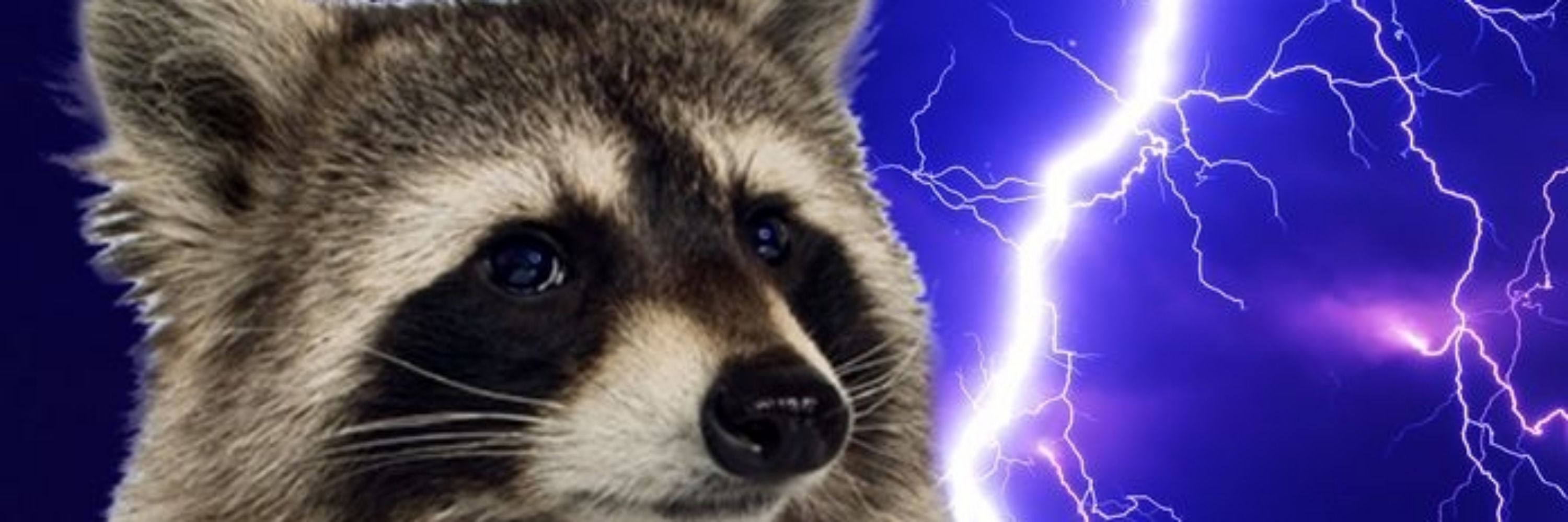 Perun's Vagabond Trash Panda