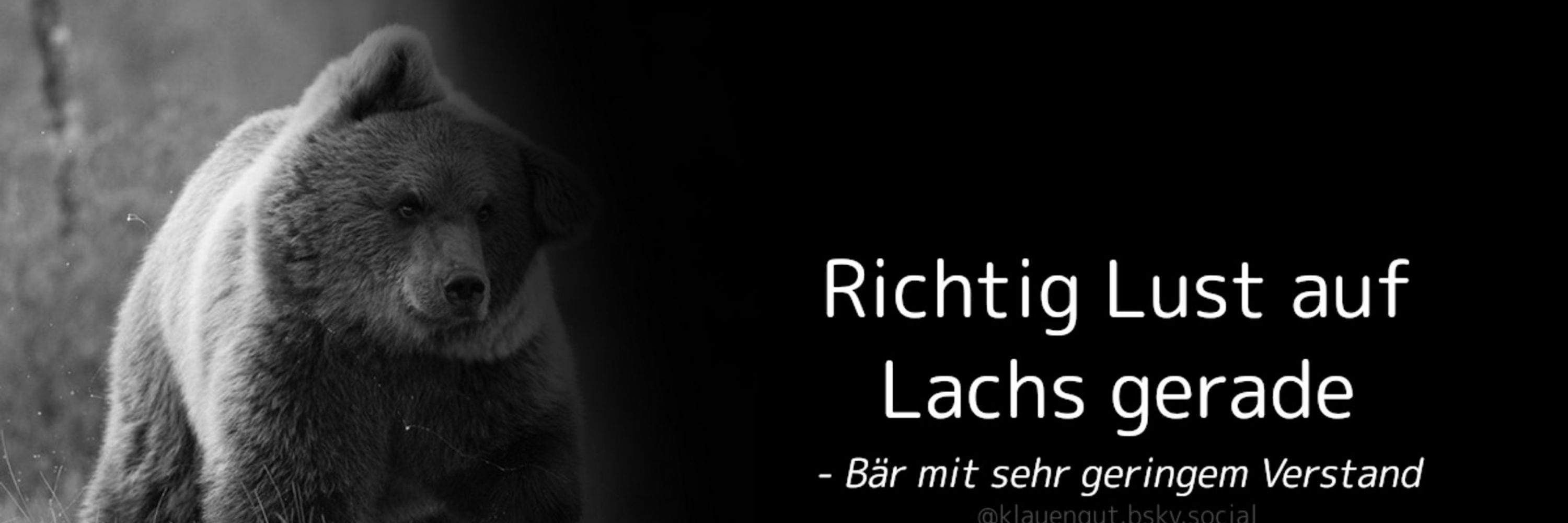 Bär mit sehr geringem Verstand