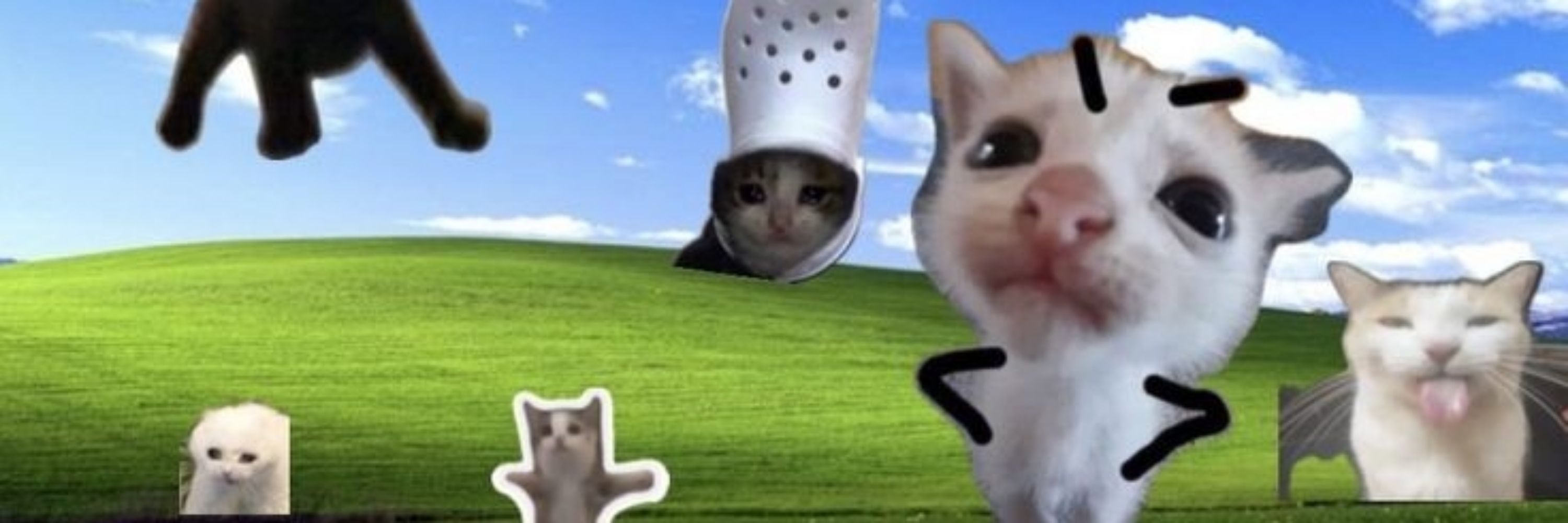 ✮°