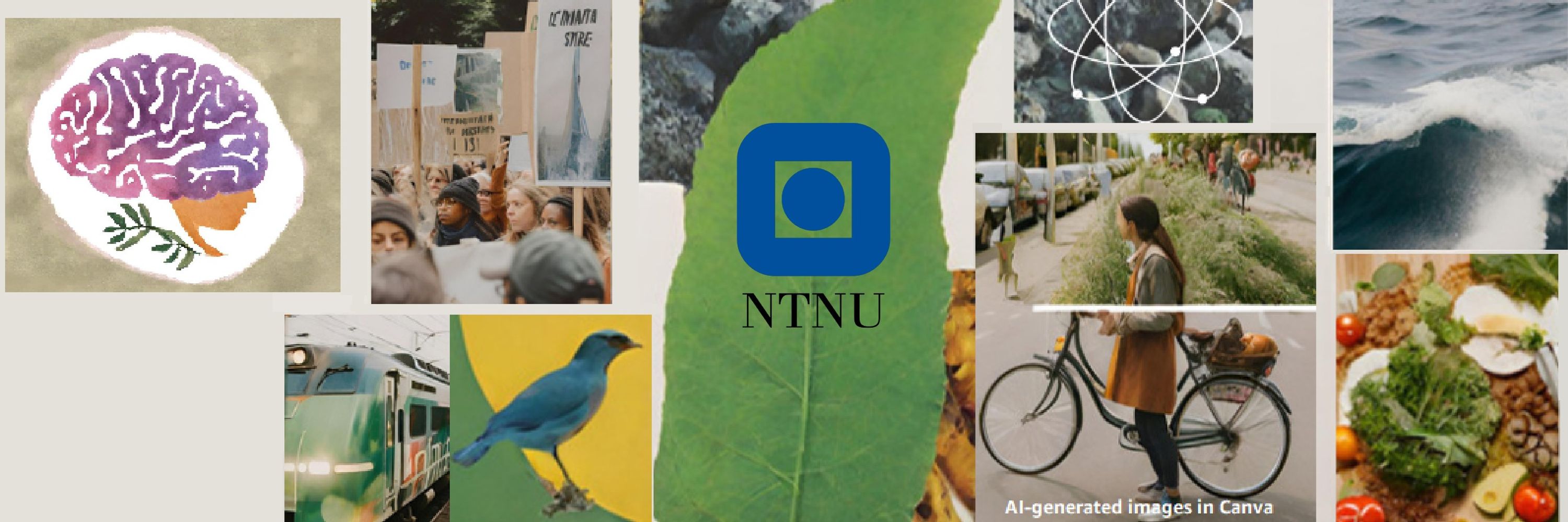 Citizens, Environment and Safety research group