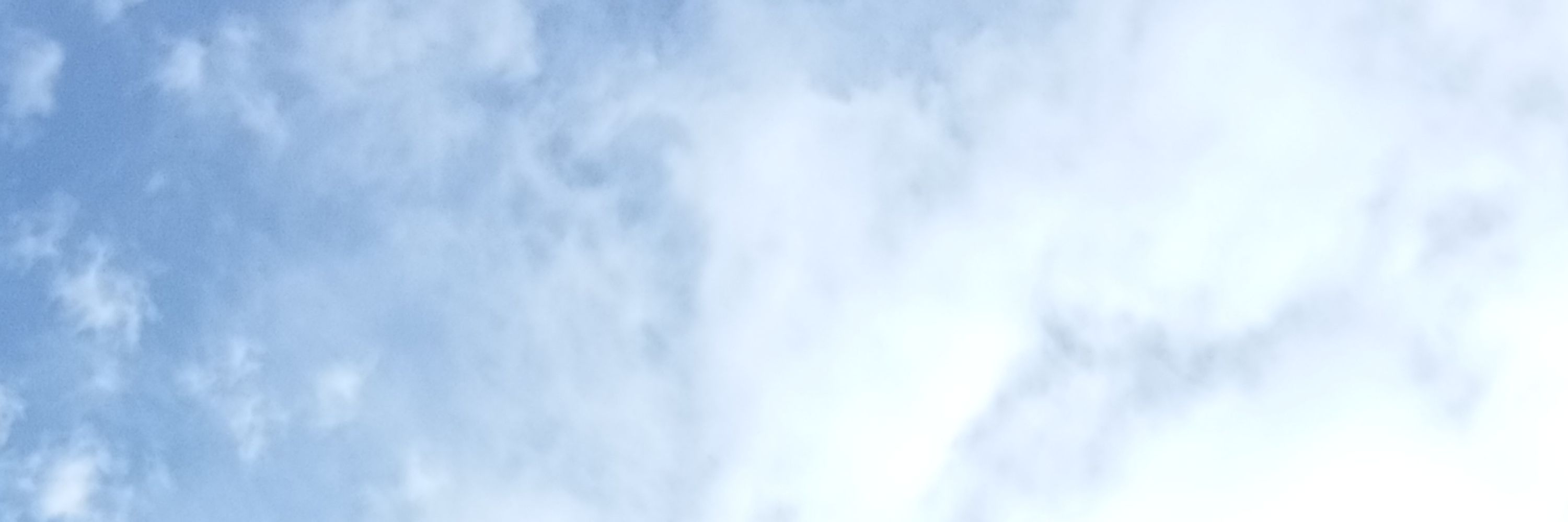 White.