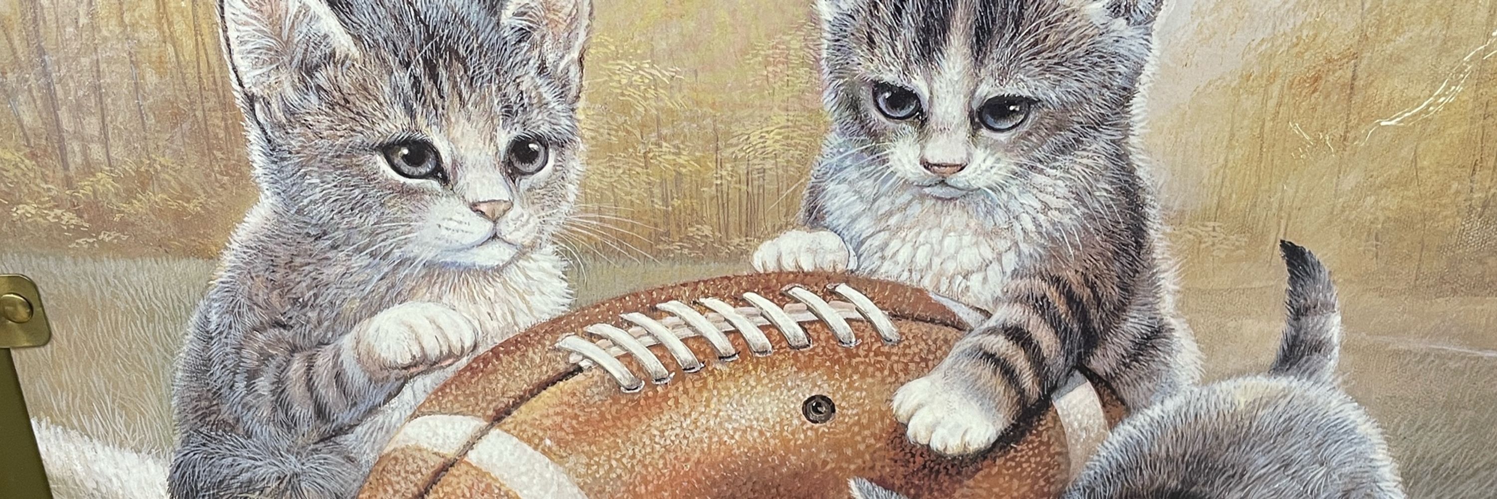 Marci Cottingham