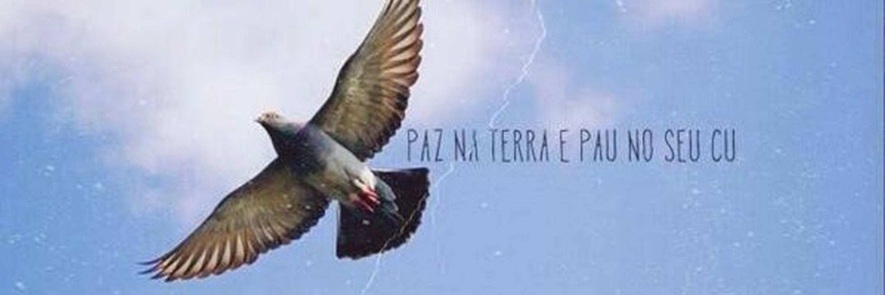 ana 🍀