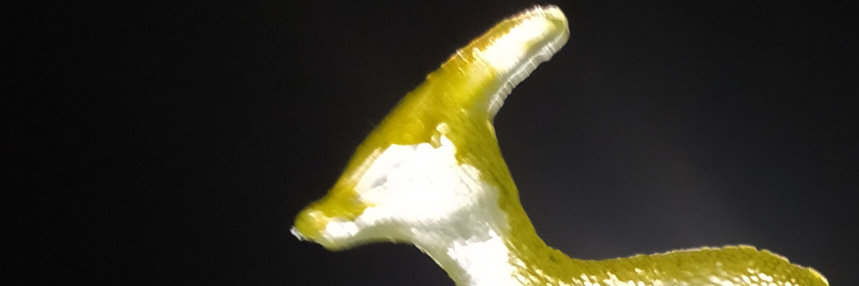 ジェノモーフ
