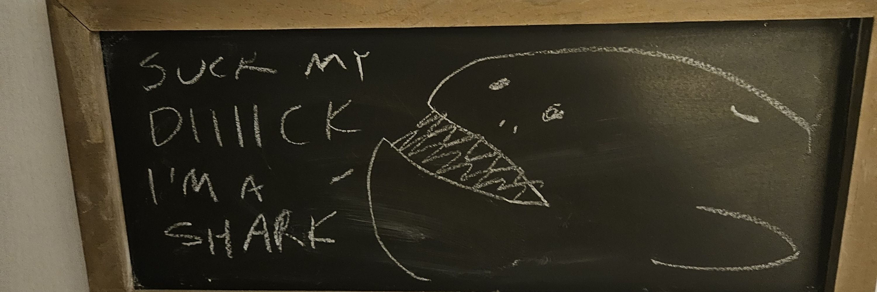 Eel Snave