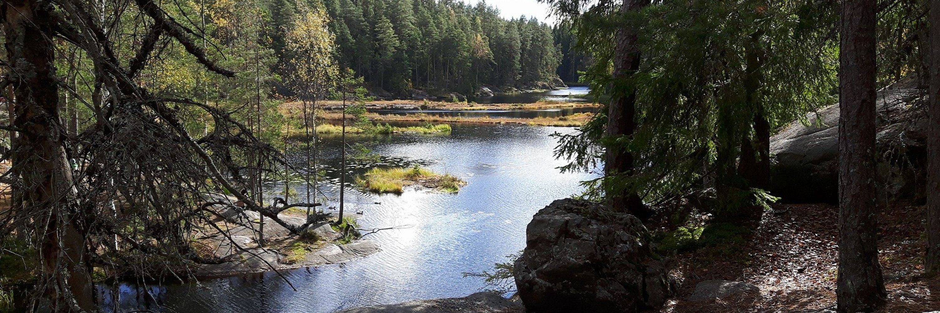 Aleksi Joensuu