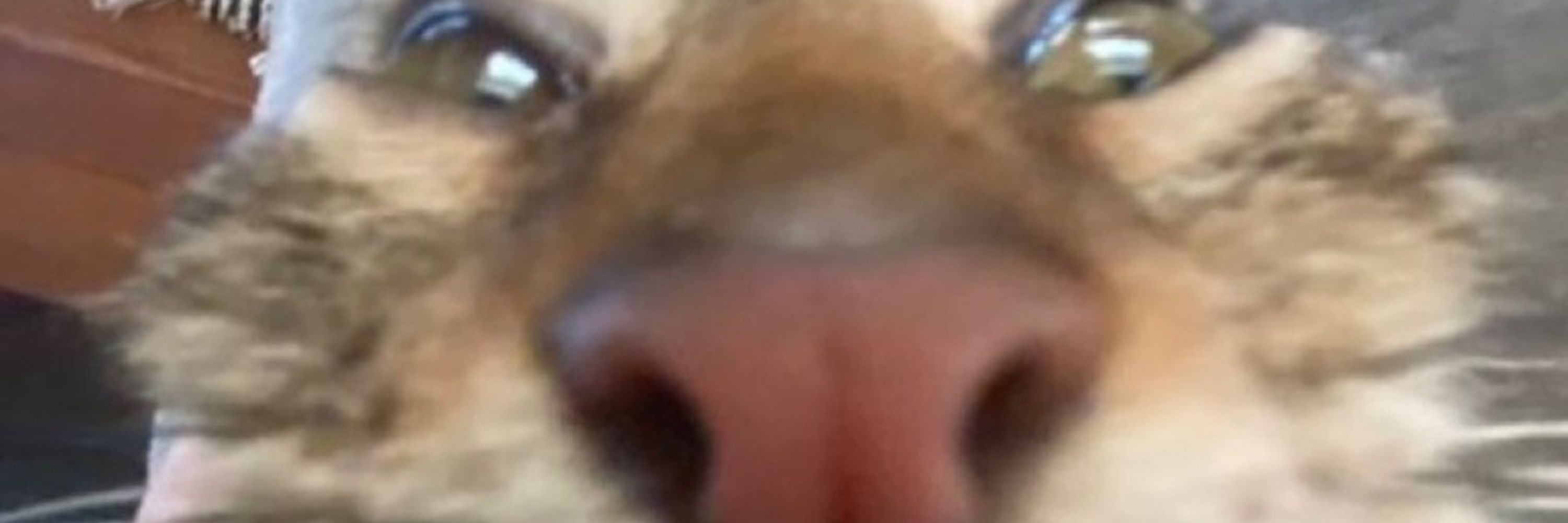 John