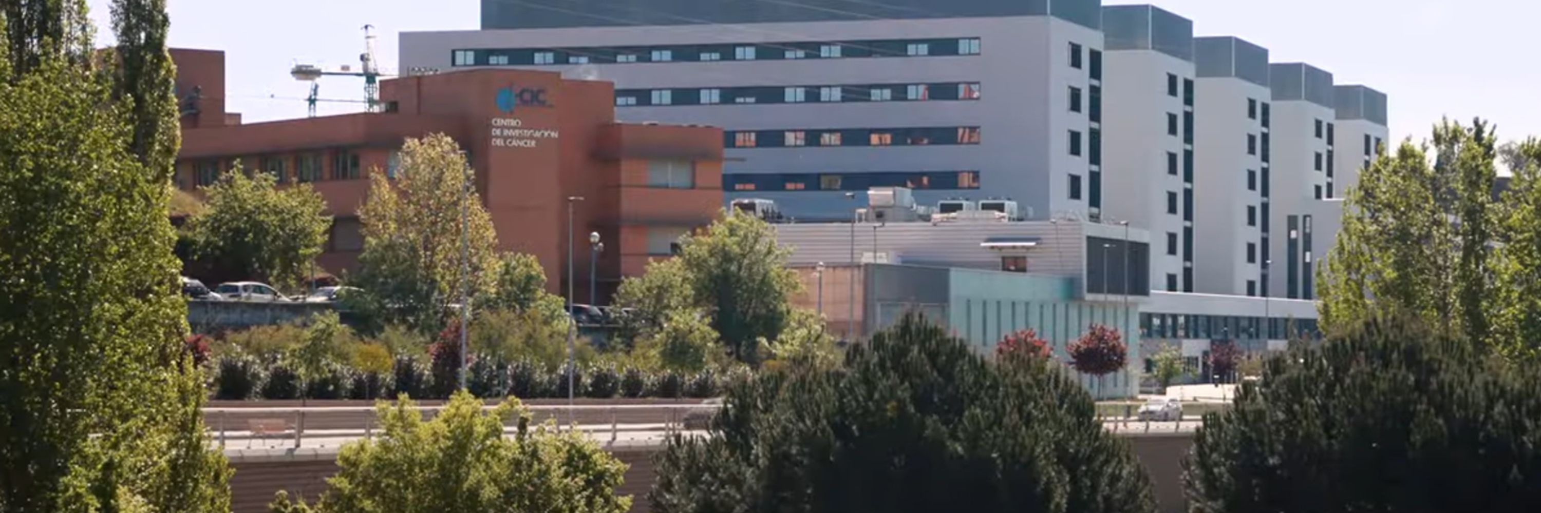 Centro de Investigación del Cáncer (CSIC-USAL-FICUS)